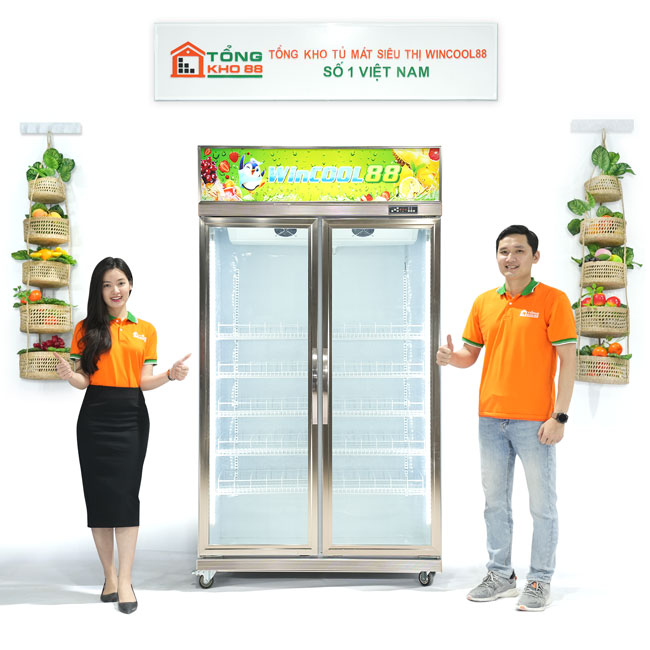 TỦ ĐÔNG CŨ GIÁ RẺ Lựa chọn thông minh cho gia đình của bạn